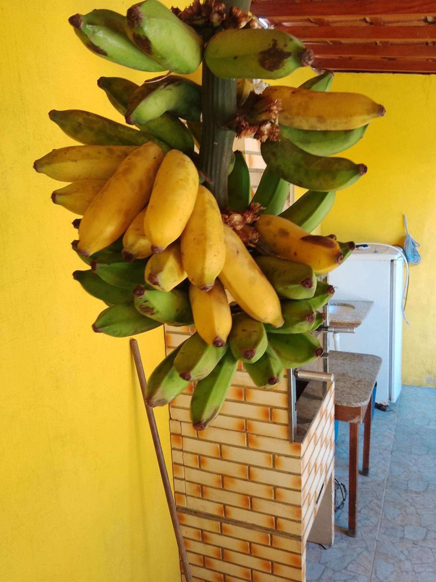 Casa De Temporada Lindas Cachoeiras 10 Araquari Zewnętrze zdjęcie